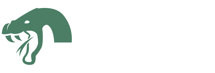 Vyper Hosting Logo